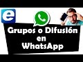 Grupos o Difusión en WhatsApp, ¿qué es mejor?