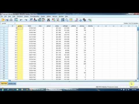 Lesson 6 -  File Splitting in SPSS
