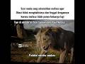 Scar tunduk pada Mufasa padahal mereka saudara,the lion king