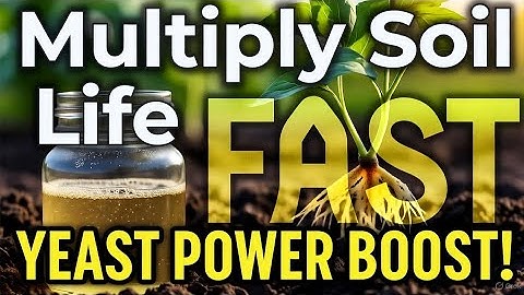  This Yeast Trick Will Explode Soil Microbes & Supercharge Your Garden FAST!