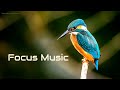 Focus Music for Work and Studying, Study Music, Background Music for Focus