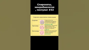 Спирохеты, микробиология, постулат #32