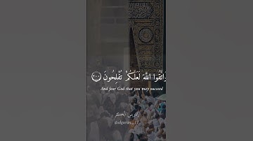 الصبر مفتاح الفرج #ادريس_ابكر #قرآن #تلاوات #ياسر_الدوسري #تلاوة #تلاوة_خاشعة #حالات #الصبر #رمضان