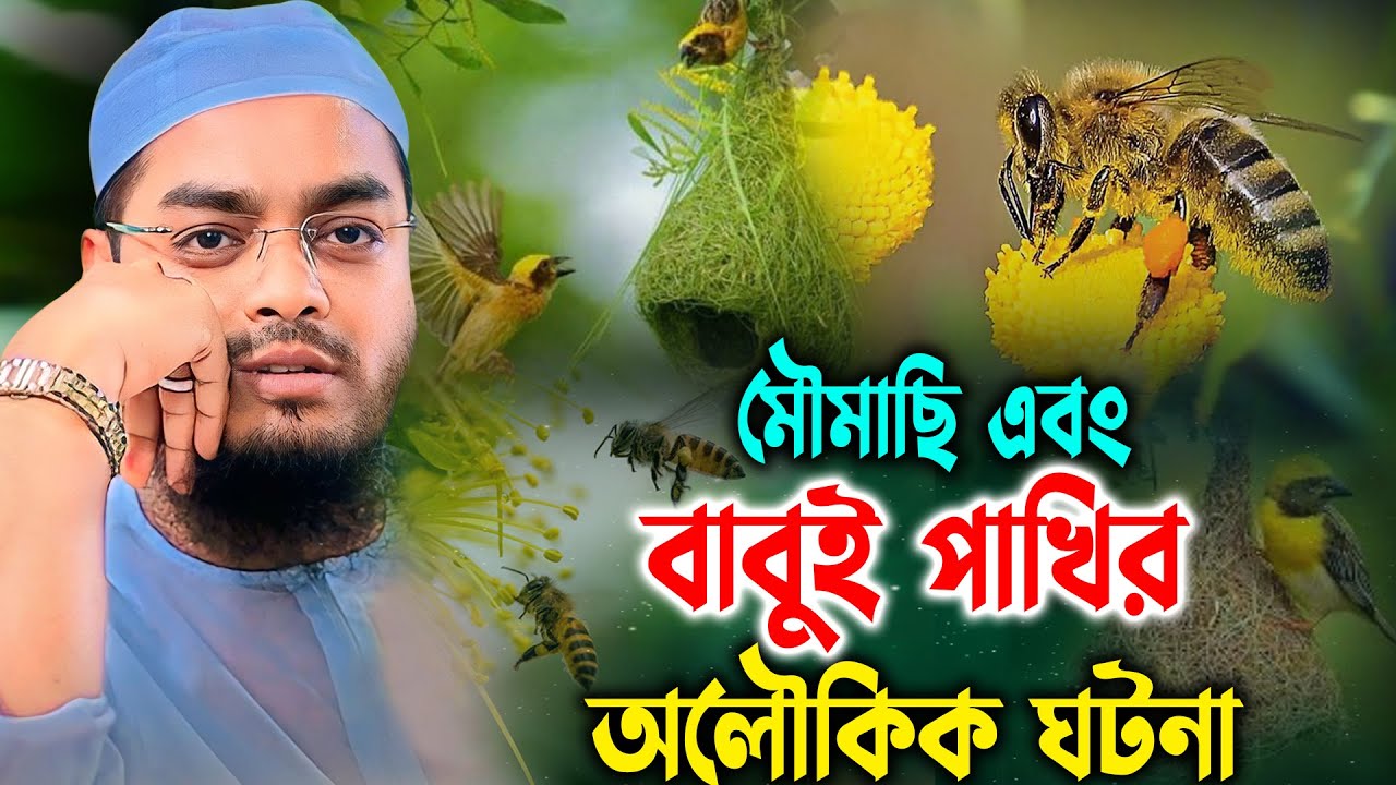 মৌমাছি ও বাবুইপাখির অলৌকিক ঘটনা। হাফিজুর রহমান সিদ্দিকী 2025। Hafizur Rahman Waz 2025