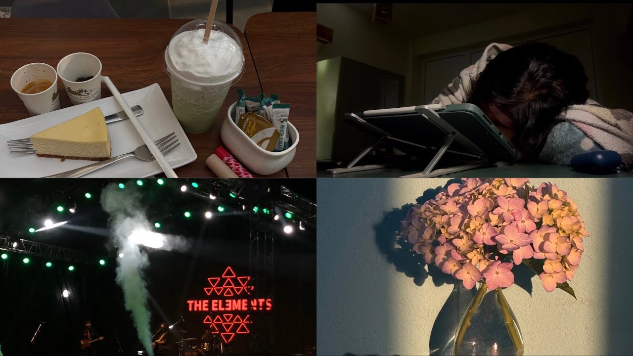 vlog : busy days , birthdays , concert .