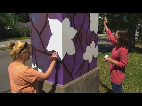 Painted Electrical Boxes (Texas Country Reporter)