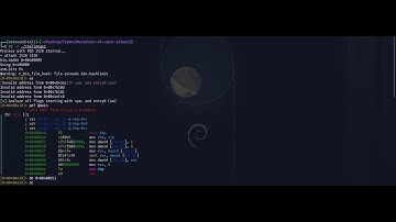 Reverse Engineering with Radare2  | TryHackMe Reverse-Elf-ineering Advent of Cyber