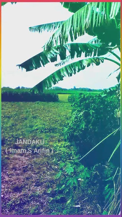 Story Wa 'Jandaku' ( Imam S Arifin )   https://youtu.be/qIqDBnB9O3U