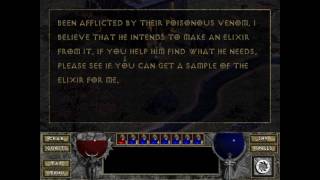 Diablo 1 Adria The Witch