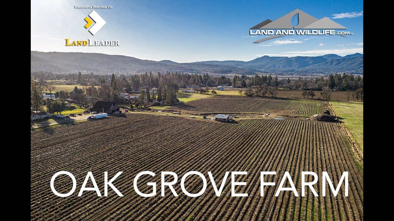 The Oak Grove Rd. Farm FOR SALE LandLeader + The Legacy Division