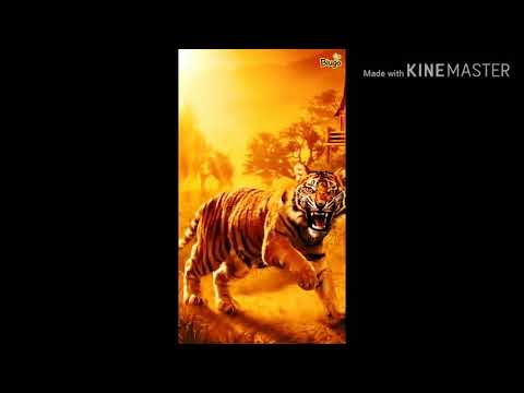 ابو حيدر الازعر 11