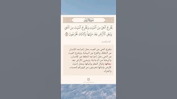 سورة الروم أية (١٩) #نرتقي_بالتعلم