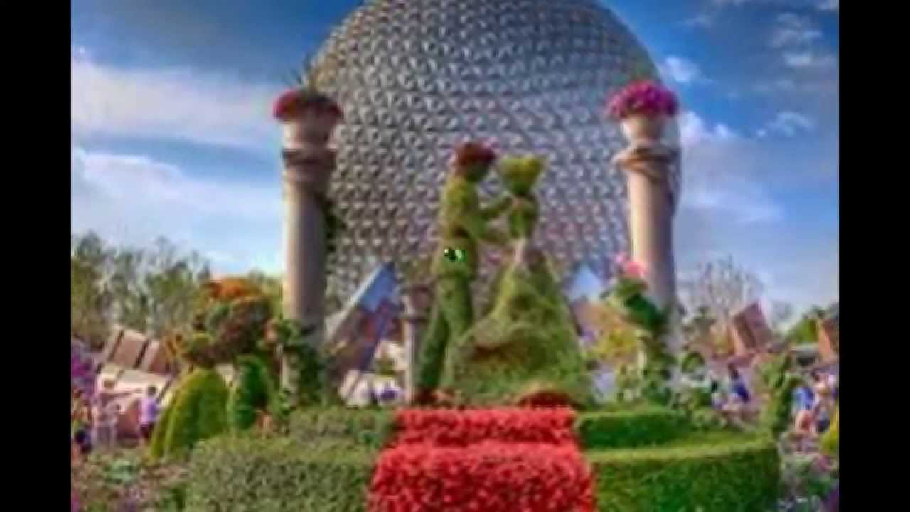 beautiful flower gardens - YouTube
