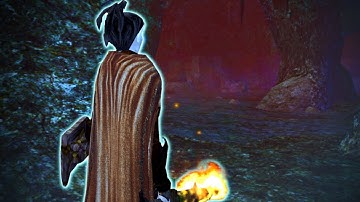 Big Bug | Marle in Arelith #11