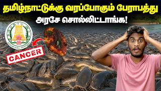 🤯😱தமிழ்நாட்டுக்கு பேராபத்து வரப்போகுதா? - தடை செய்யப்பட்ட மீன ஏன் விக்கிறாங்க? | India Catfish ban!