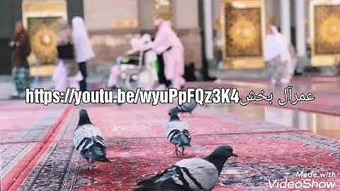 الحيعلات النادرة للمؤذن عبدالمجيد السريحي بإبداع رهيب في محاكاة الريس عبدالعزيز بخاري