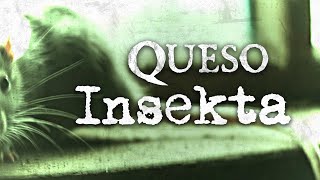 Queso - Insekta