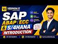 SAP ABAP ECC &amp; S/4HANA Introduction | Learn SAP from Scratch with Real-Time Scenarios | Version IT