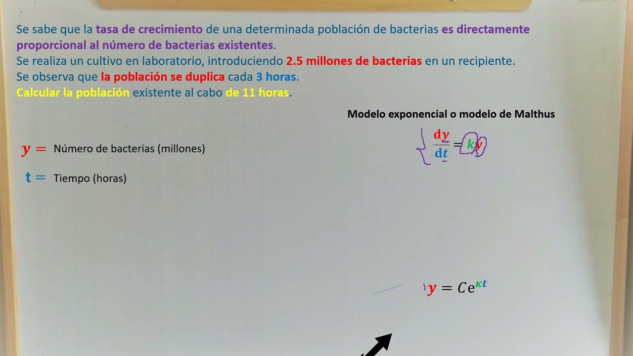 Modelo de Malthus a crecimiento de cultivo de bacterias