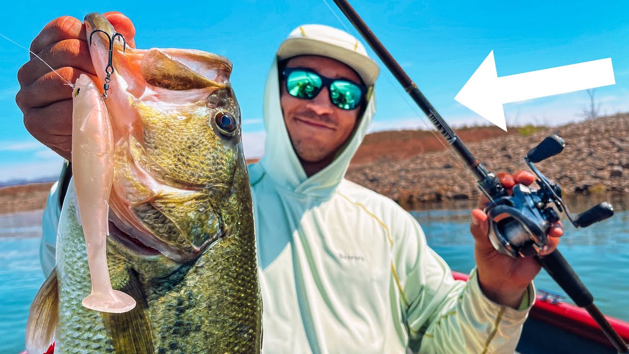 Every Angler Should Have This Swimbait Tied On!! The Megabass 6″ Magdraft!