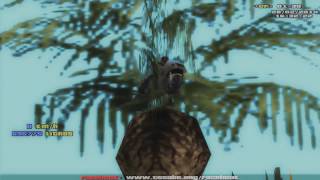 Sampage Samp 4Fun Stunting Video