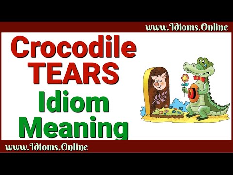 Video: In what speech situations is it better to use the idiom 