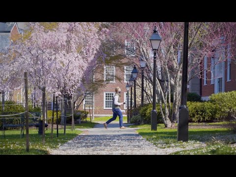 Spring Blooms On Campus
