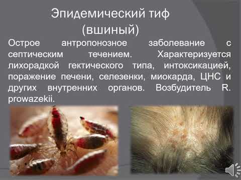 Возбудители риккетсиозов