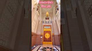naaf shareef #video  #shorts #viral #youtubeshorts