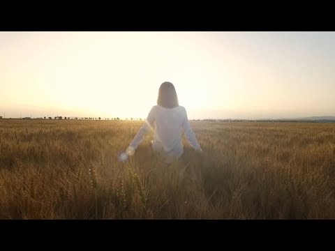 احمد عاشور پور خروس خوان