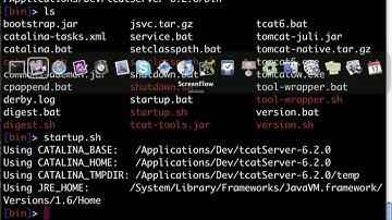 MuleSoft TCat/Tomcat Maven Archetypes