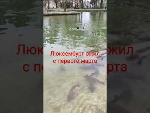 Люксембург ожил с первого марта