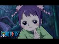 Moonlit Ninja Duel | One Piece