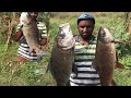 Unbelievable fish hunting.big catla fish 6.5kg.big Rahu fish 4.5 kg.amazing hunting.shing ka shikar