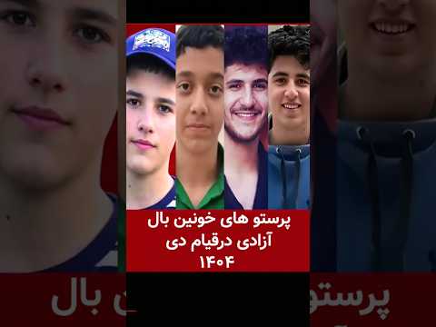 پرستو های خونین بال آزادی درقیام دی ۱۴۰۴