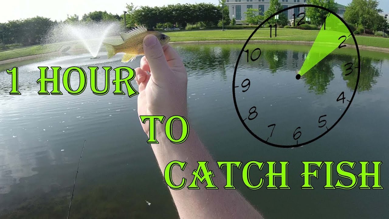 How many fish can I catch in 1 hour? - YouTube