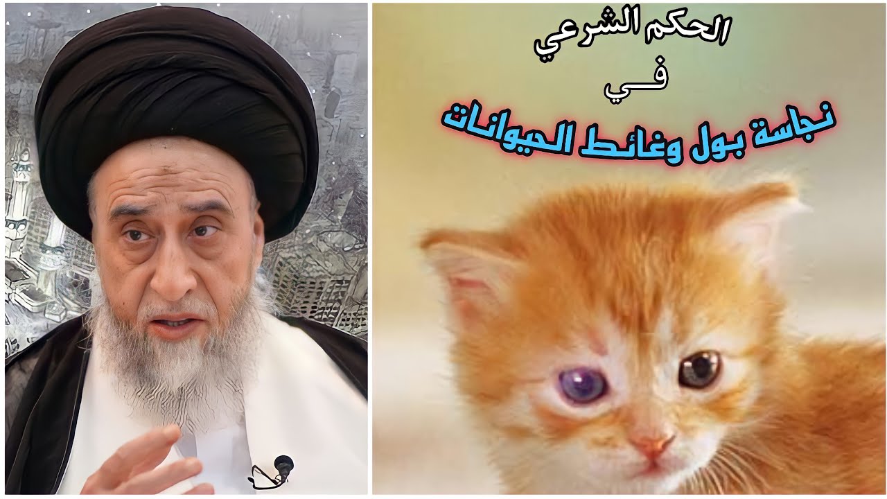 ما هي الحيوانات ذات البول والفضلات النجسة ؟ | السيد صباح شبر