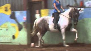 Pixie Jay - Schooling 03/06/14