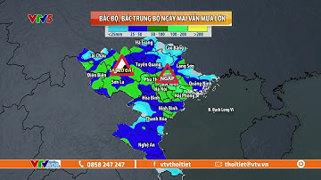 Dự báo thời tiết ngày mai 4/8/2023 | Bắc Bộ, Bắc Trung Bộ vẫn mưa lớn | VTVWDB