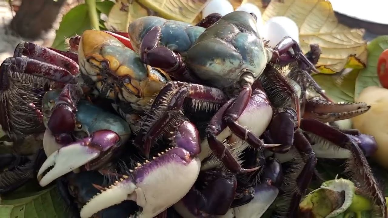Receita de torta de caranguejo🦀🍲