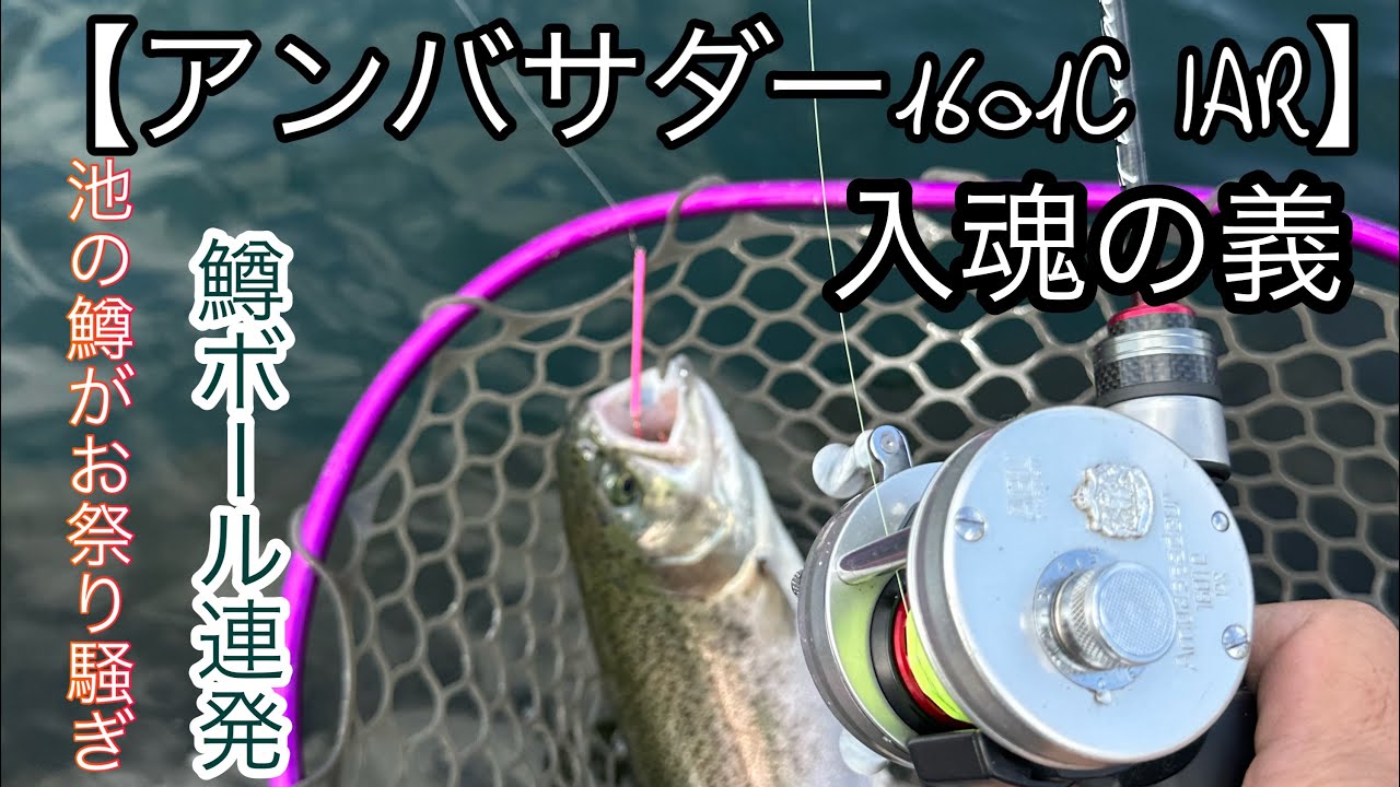 アンバサダー1601C IAR】デビュー戦。凄かったっす - YouTube