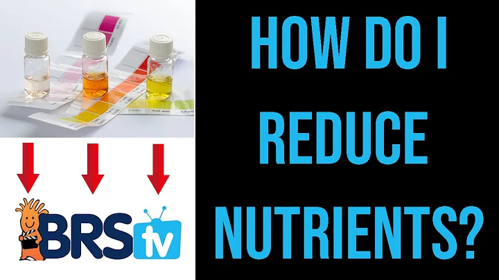 How to Lower Nitrate and Phosphate in a Saltwater Aquarium? | ep.5 BRStv Guide to Pollutive Foods