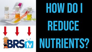 How to Lower Nitrate and Phosphate in a Saltwater Aquarium? | ep.5 BRStv Guide to Pollutive Foods by BRStv - Saltwater Aquariums & Reef Tanks 4,022 views 3 months ago 4 minutes, 24 seconds