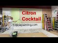 Citron Cocktail 410 by Benjamin Moore