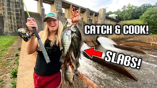 CRAPPIE FISHING a MASSIVE SPILLWAY!!! CATCH, CLEAN, and COOK Fish Tacos!!!