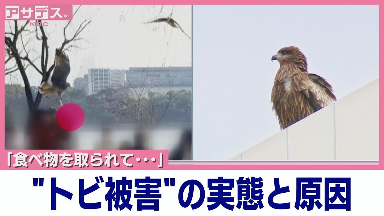 【福岡】｢食べ物を取られて･･･｣