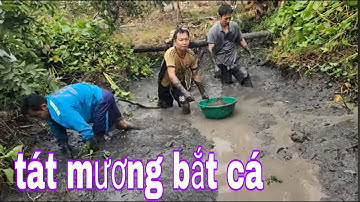 Vào Dịp Gần Tết Gia Đình Tát Mương Bắt Cá Ăn Tết # SĂN BẮT ĐỒNG THÁP #