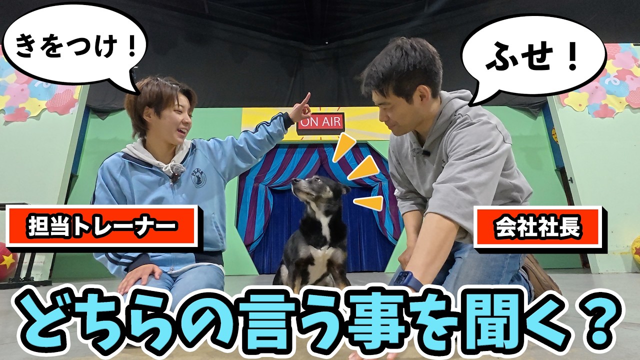 超天才的回答！サーカス犬に飼い主2人で別々の指示を出してみると