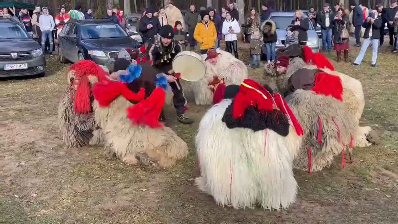 Ursii movileni 2022-2023 (Jokeru ursar)