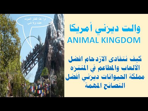 فيديو: نصائح النقل في مملكة الحيوانات في عالم ديزني